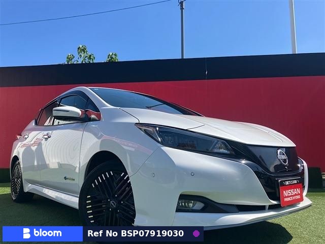 2023 Nissan Leaf