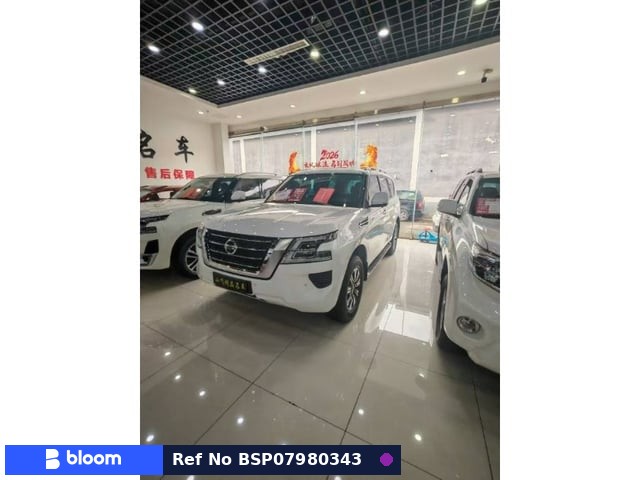 2019 Nissan Patrol
