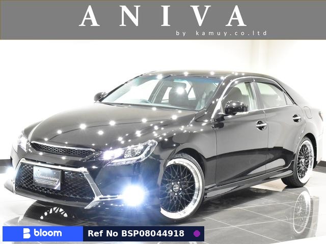 2009 Toyota Mark X