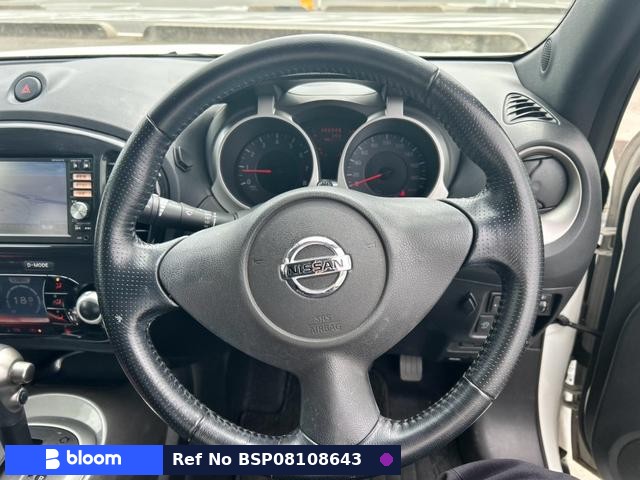 2013 Nissan Juke