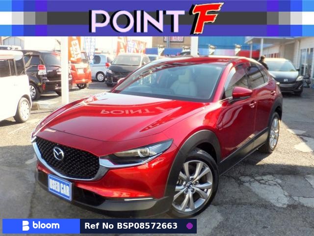 2019 Mazda CX-30