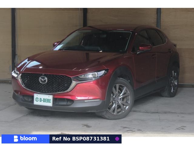 2019 Mazda CX-30