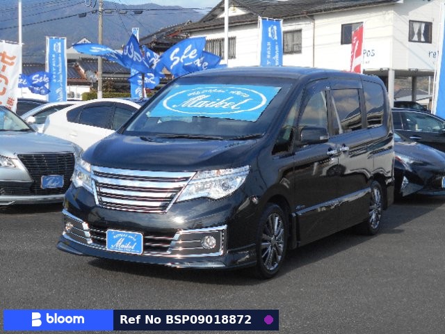 2013 Nissan Serena