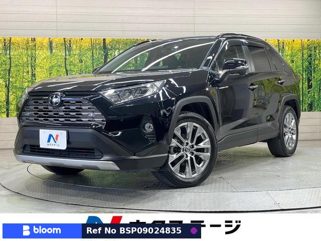 2020 Toyota RAV4