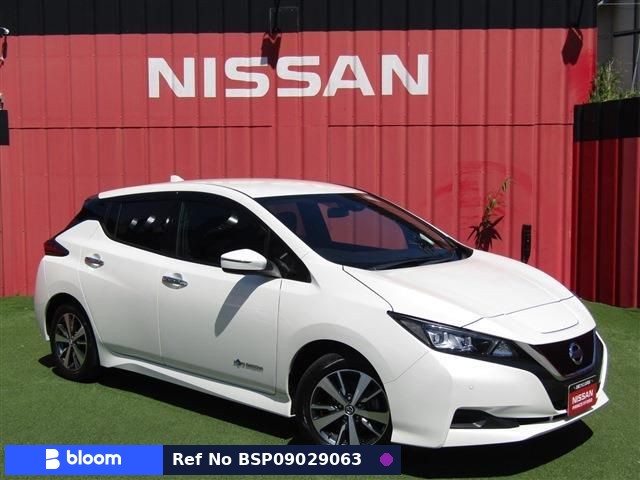 2021 Nissan Leaf