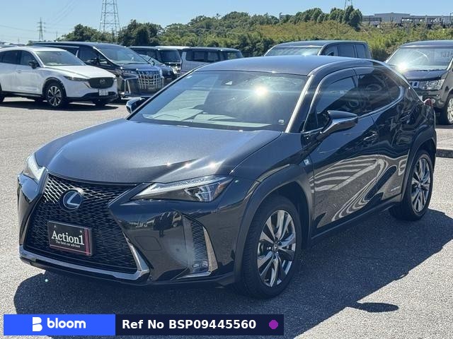 2019 Lexus UX