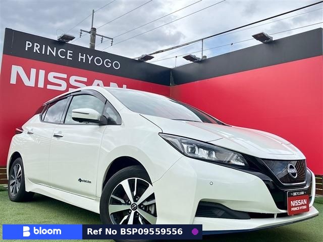 2021 Nissan Leaf