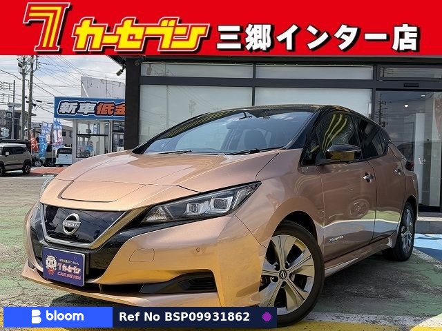 2021 Nissan Leaf