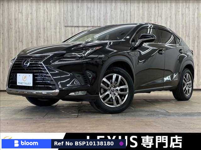 2019 Lexus NX