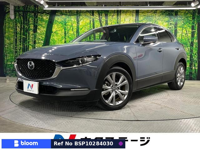 2019 Mazda CX-30