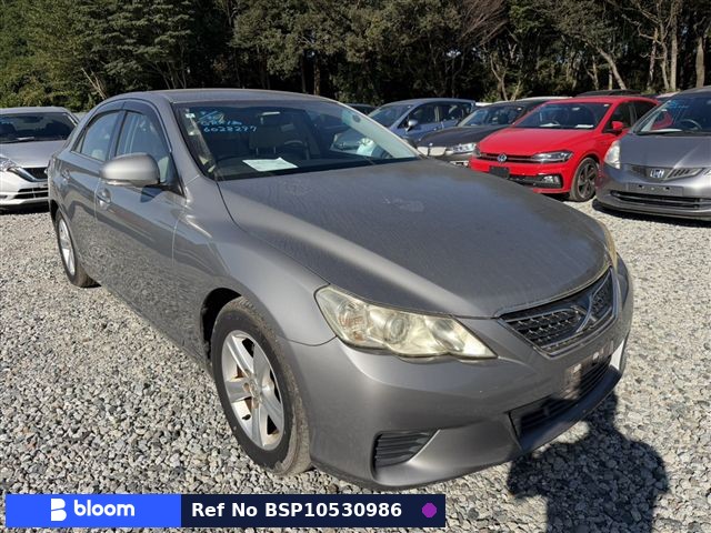 2010 Toyota Mark X