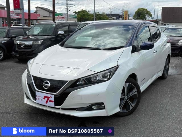 2017 Nissan Leaf