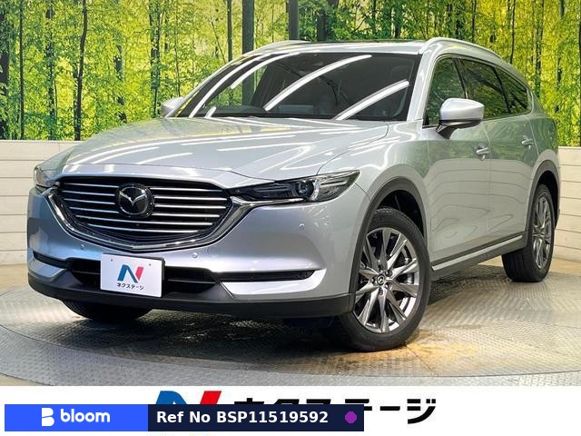 2019 Mazda CX-8
