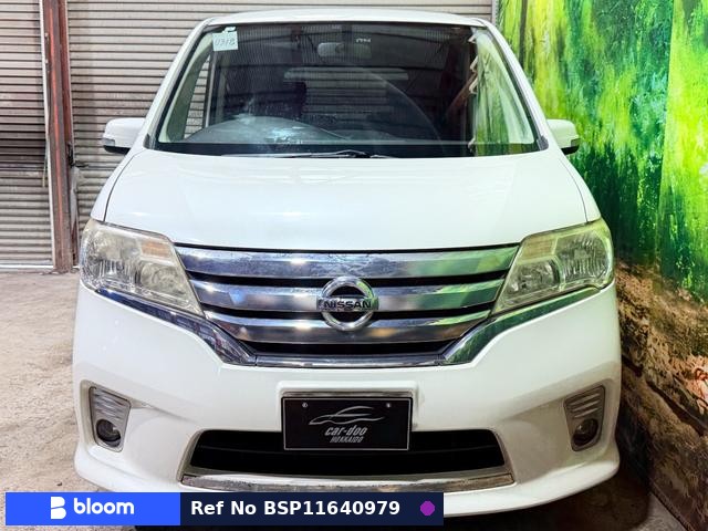 2010 Nissan Serena