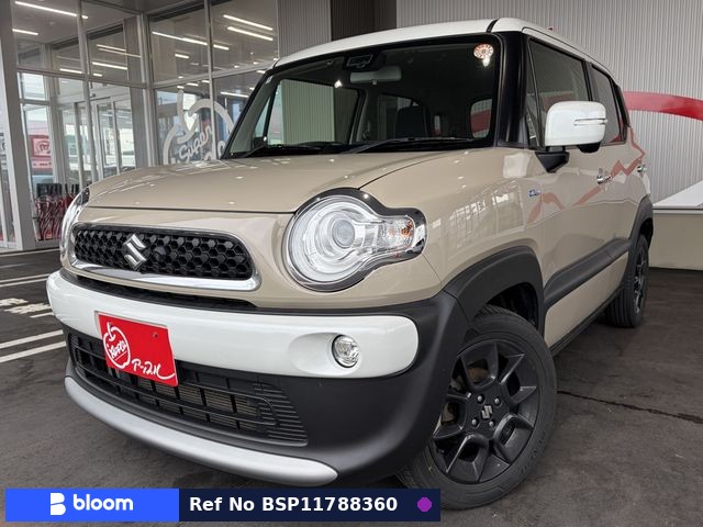 2018 Suzuki X BEE