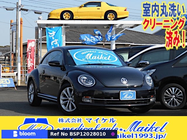 2014 Volkswagen THE Beetle