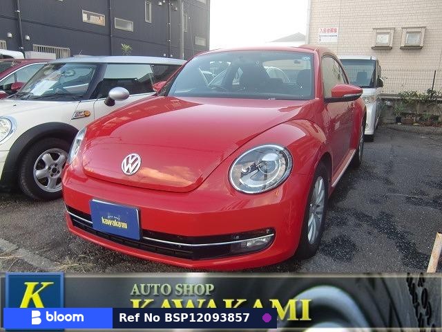 2013 Volkswagen THE Beetle