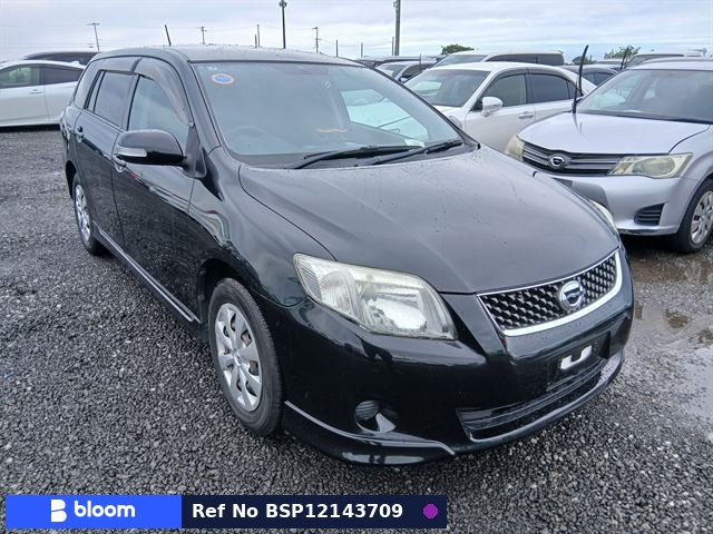 2010 Toyota Corolla Fielder
