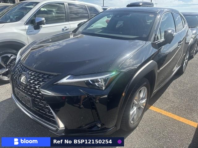 2019 Lexus UX