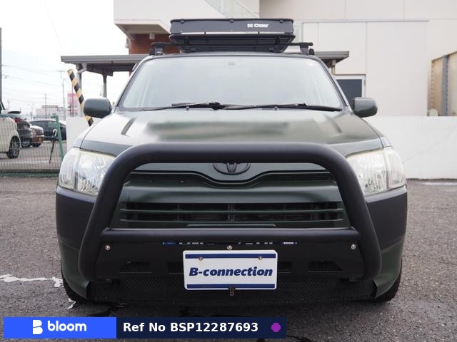2002 Toyota Succeed Wagon