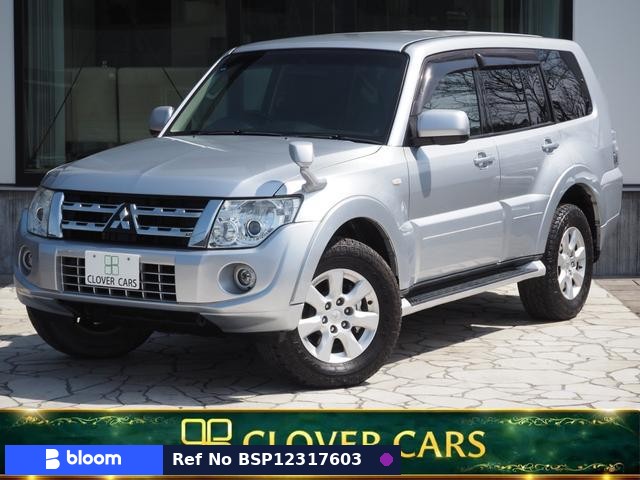 2013 Mitsubishi Pajero