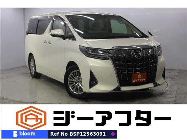 2019 Toyota Alphard