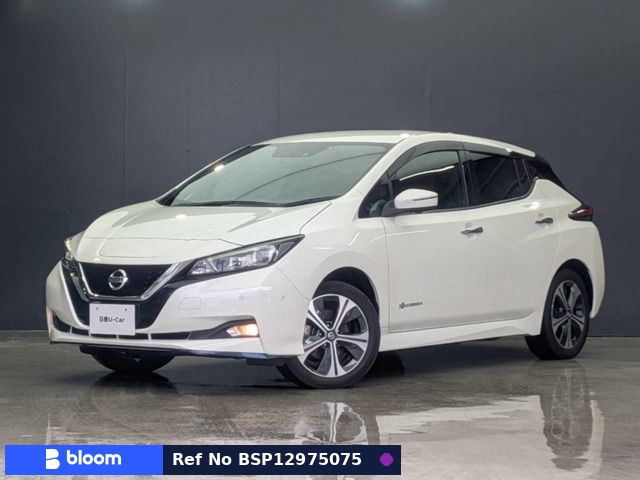 2021 Nissan Leaf
