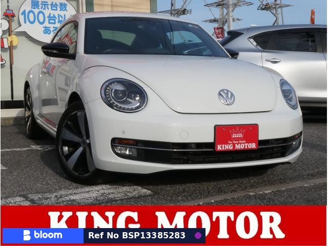 2014 Volkswagen THE Beetle