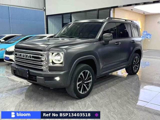 2024 Great Wall Haval H9