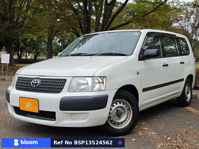 2008 Toyota Succeed VAN