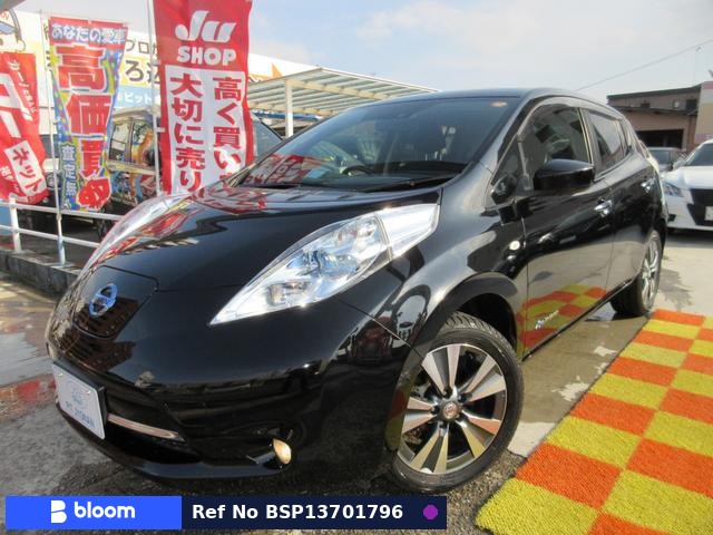 2017 Nissan Leaf