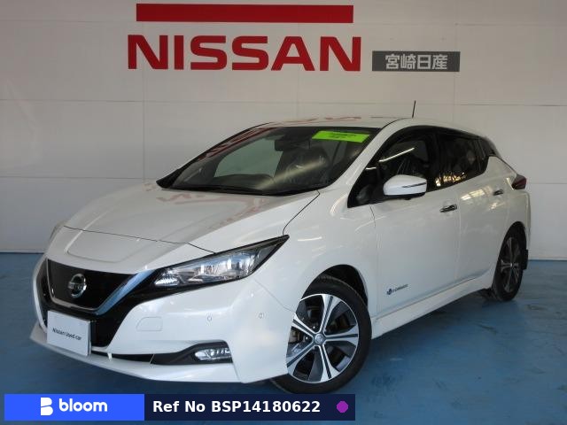 2018 Nissan Leaf