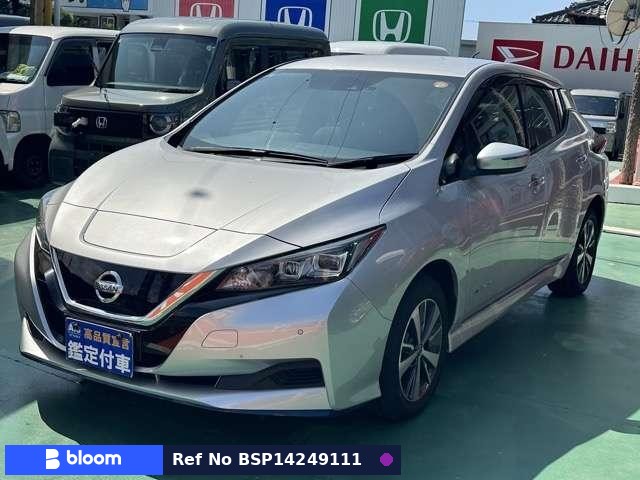 2019 Nissan Leaf