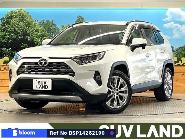 2020 Toyota RAV4