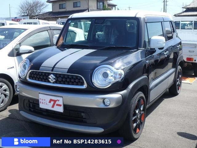2018 Suzuki X BEE