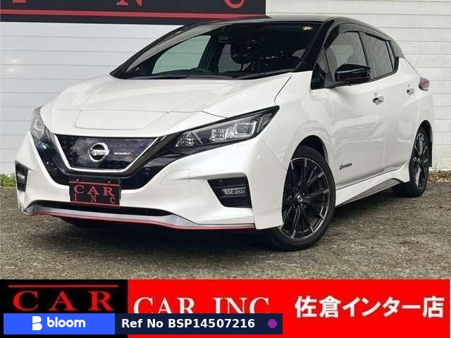 2019 Nissan Leaf