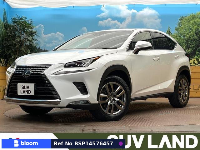 2018 Lexus NX