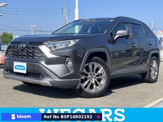 2019 Toyota RAV4