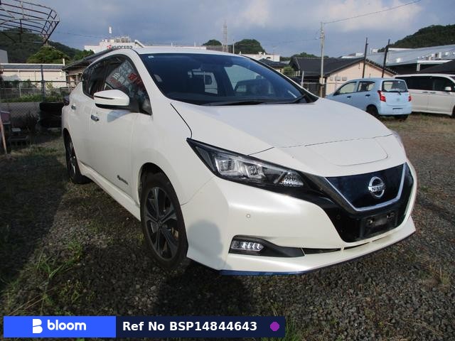 2019 Nissan Leaf