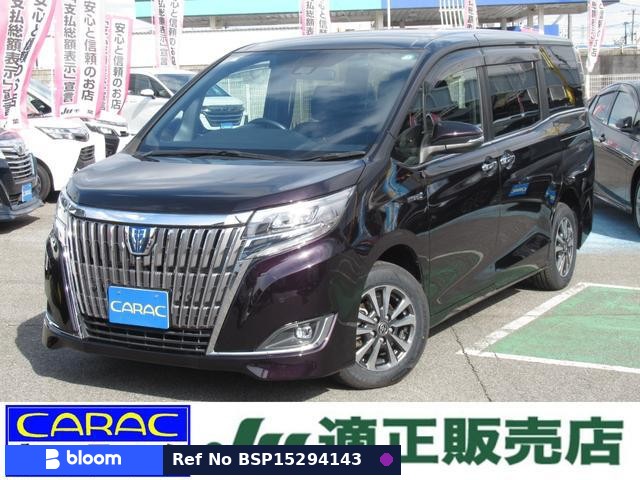 2019 Toyota Esquire