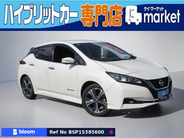 2019 Nissan Leaf