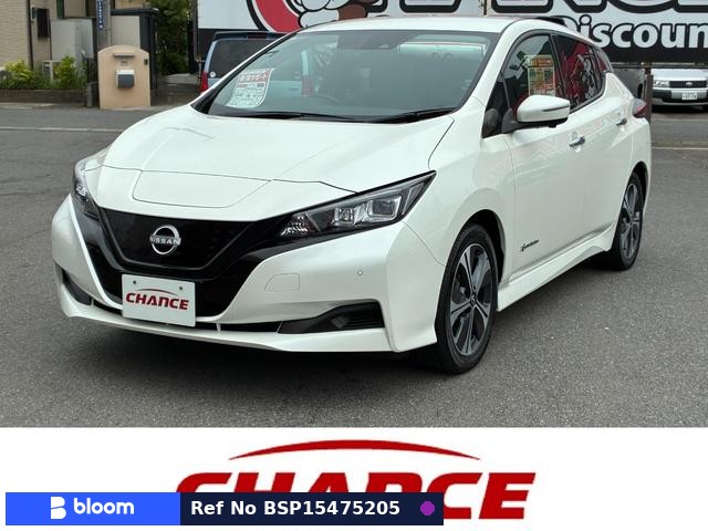 2021 Nissan Leaf