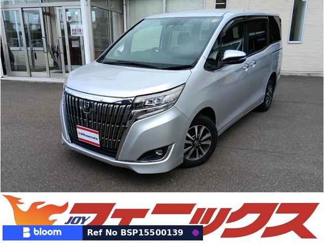2019 Toyota Esquire