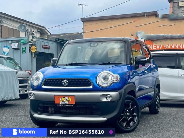 2018 Suzuki X BEE