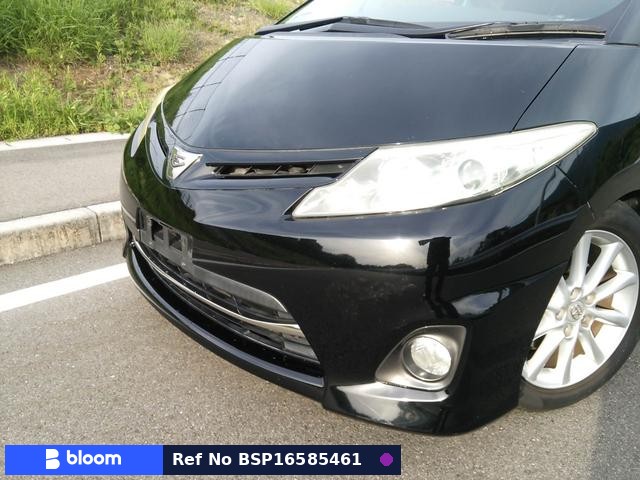 2010 Toyota Estima