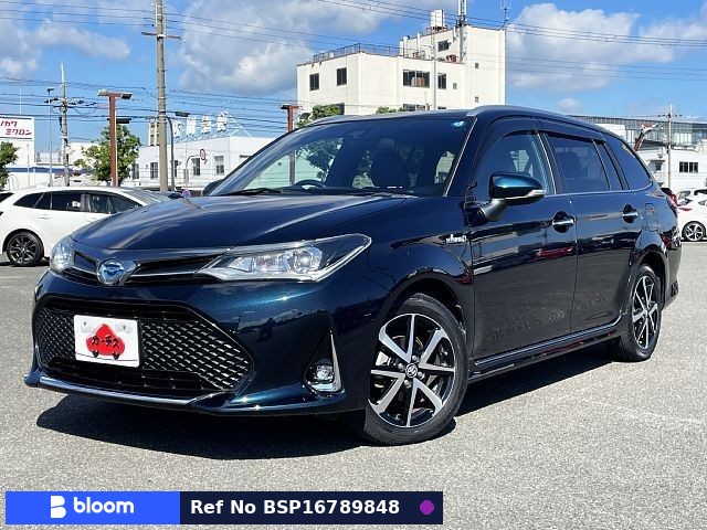 2019 Toyota Corolla Fielder