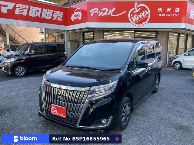 2019 Toyota Esquire
