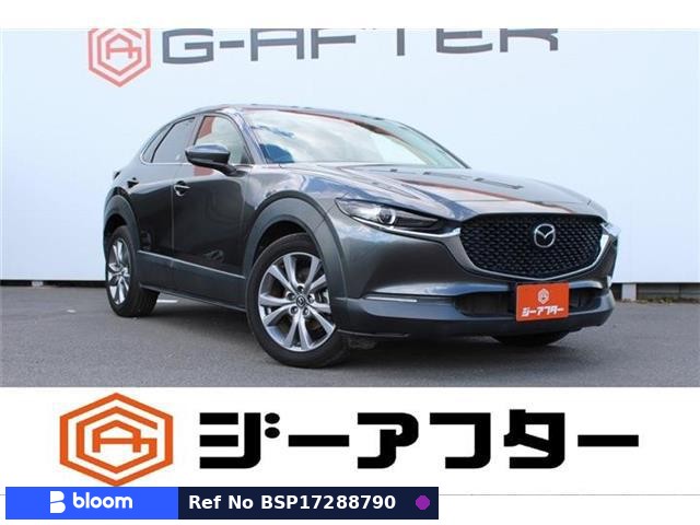 2019 Mazda CX-30
