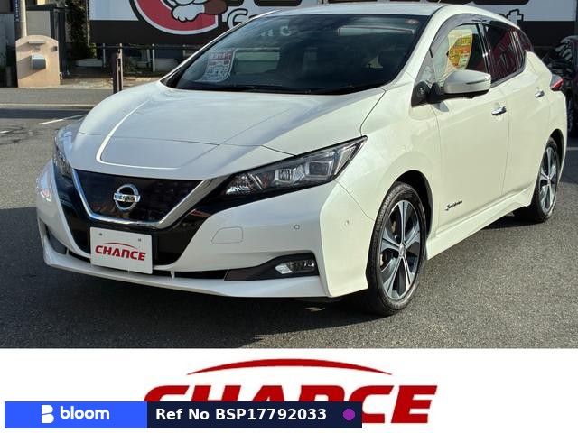 2017 Nissan Leaf