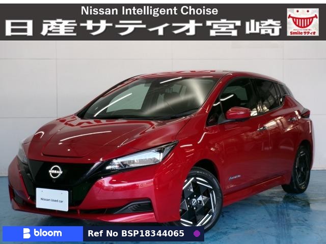 2023 Nissan Leaf